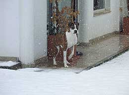 nieve4.jpg