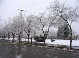 nieve7.jpg