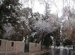 nieve9.jpg